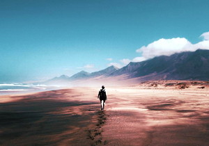 齒輪加工刀具供貨目錄